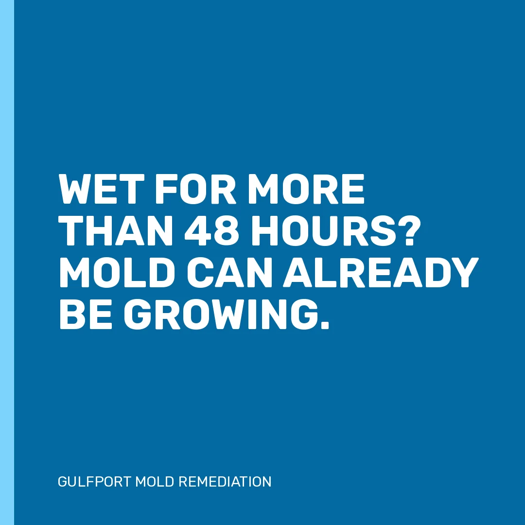 Wet for more than 48 hours? Mold can already be growing.