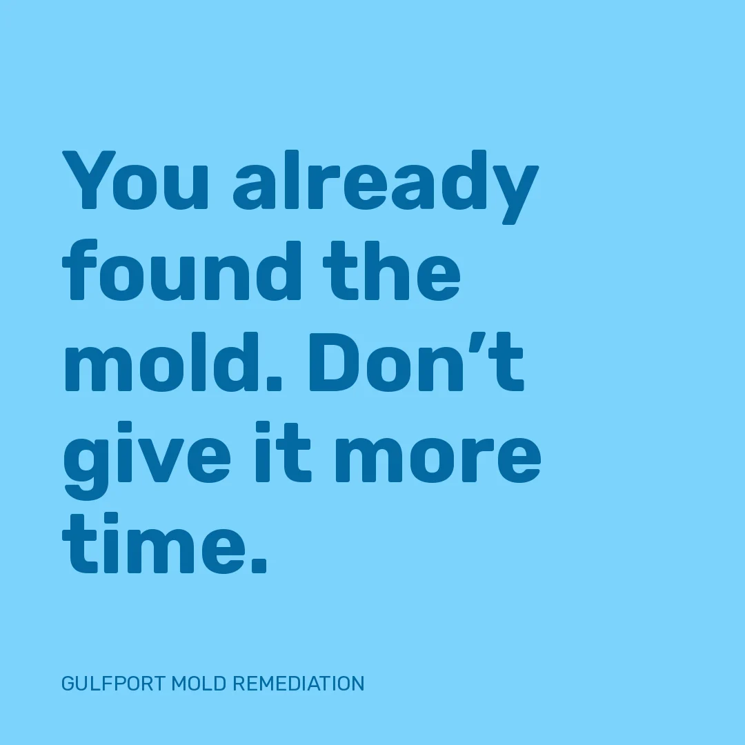 You already found the mold. Don’t give it more time.